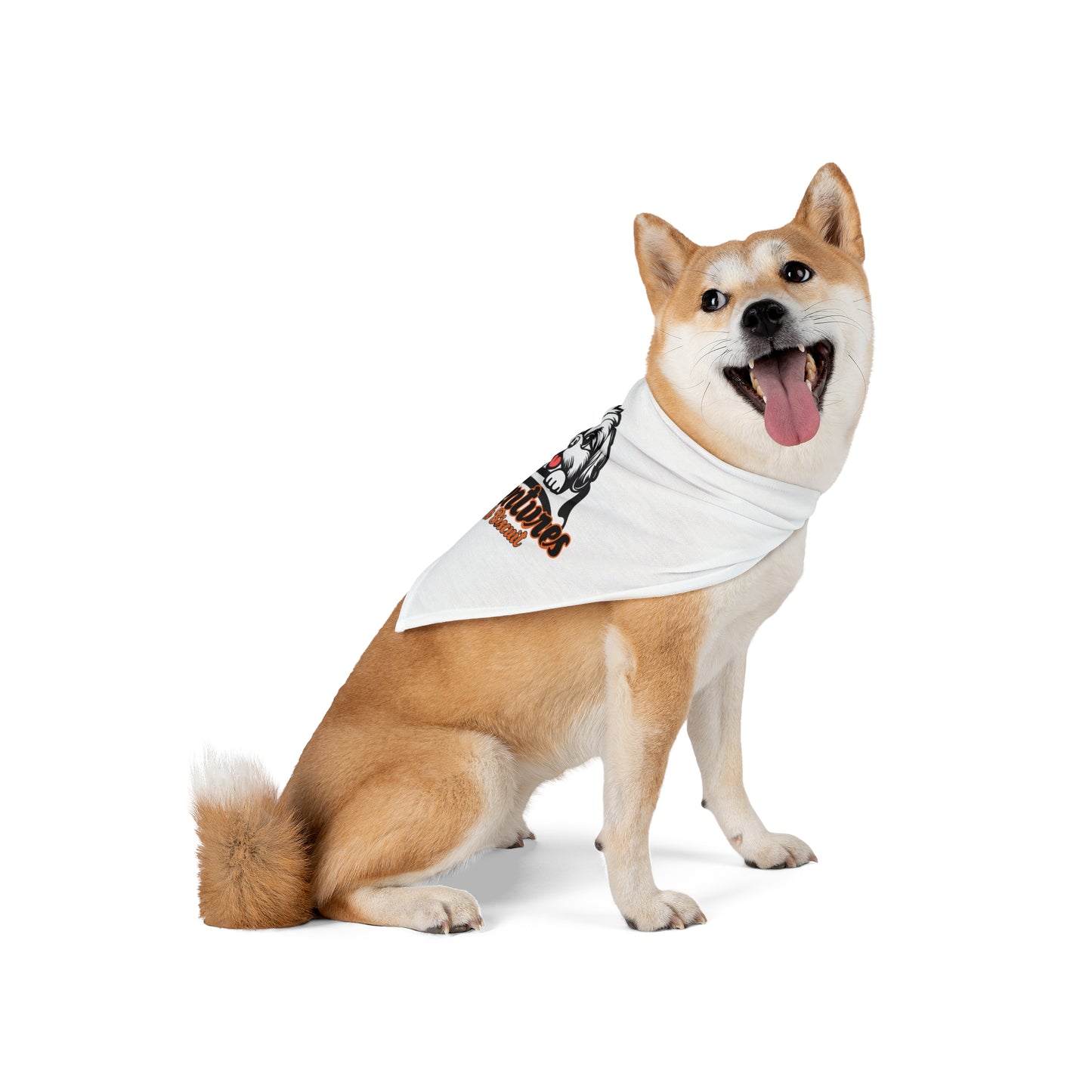 Pet Bandana